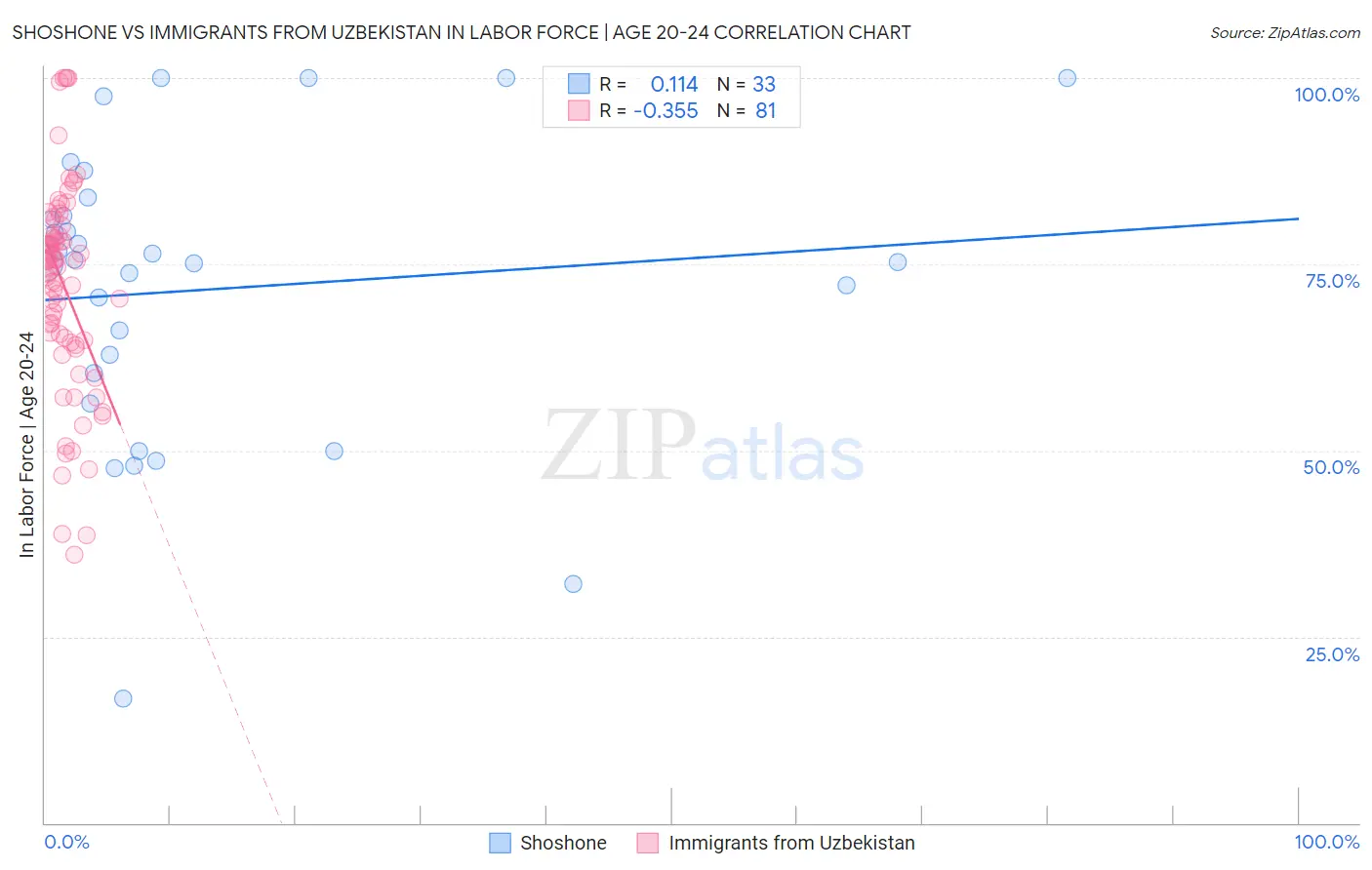 Shoshone vs Immigrants from Uzbekistan In Labor Force | Age 20-24