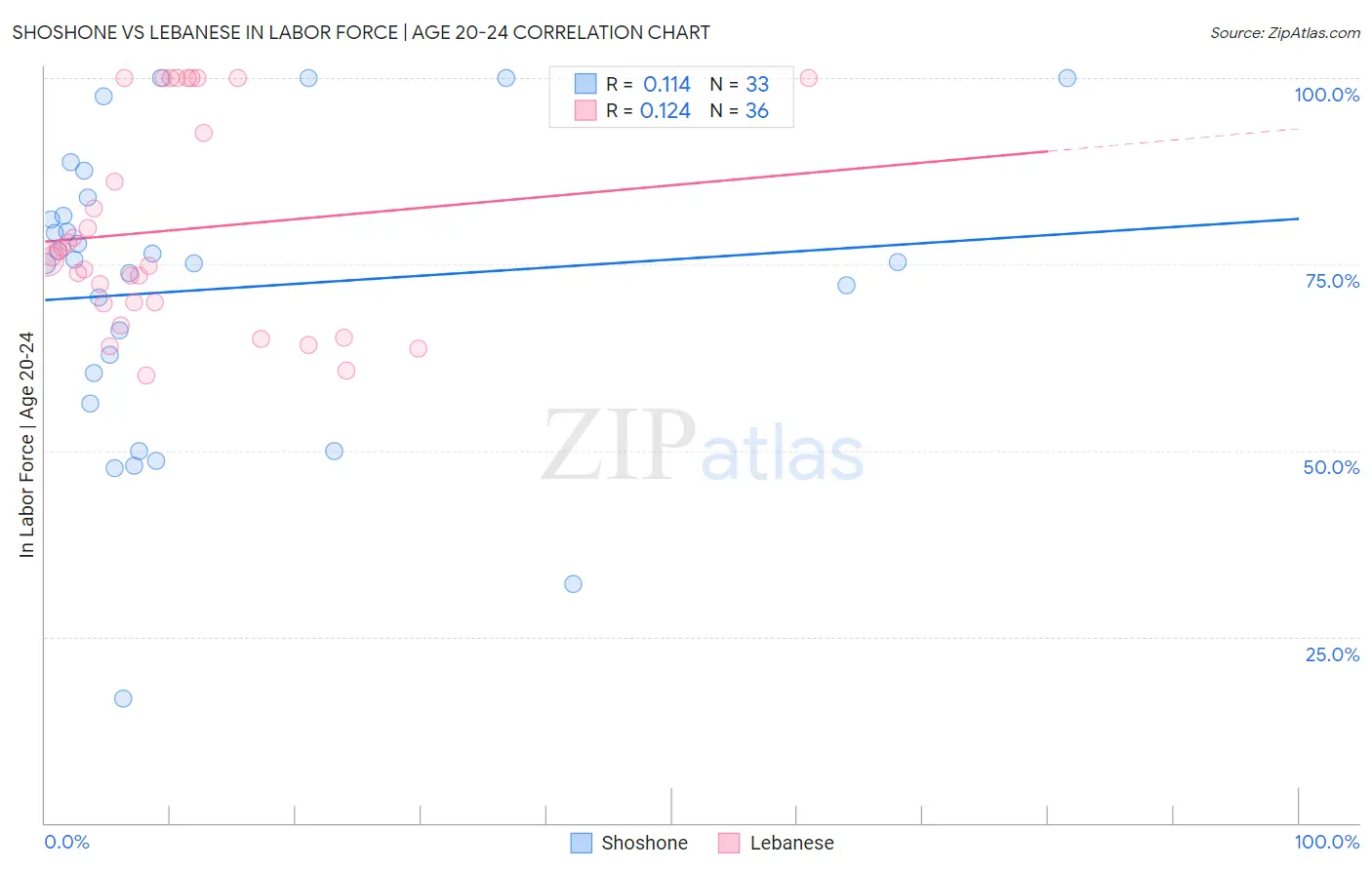 Shoshone vs Lebanese In Labor Force | Age 20-24
