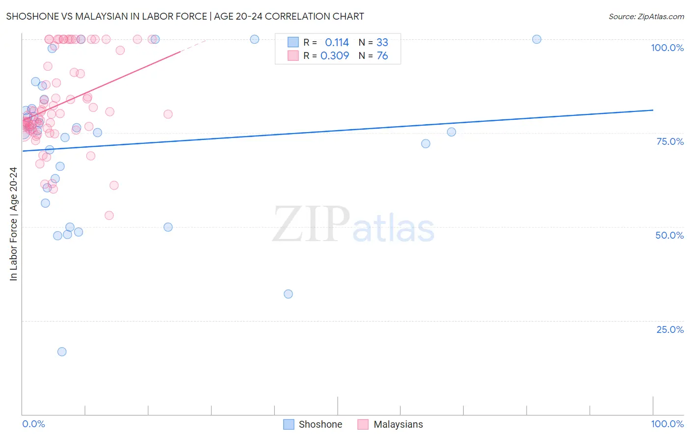 Shoshone vs Malaysian In Labor Force | Age 20-24