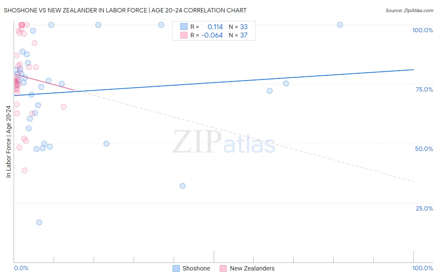 Shoshone vs New Zealander In Labor Force | Age 20-24