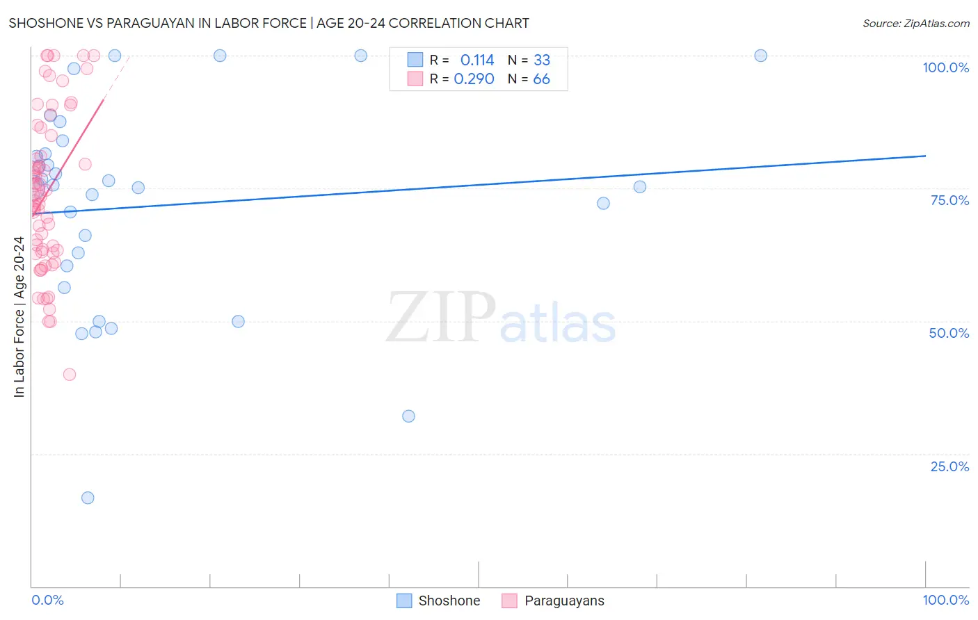 Shoshone vs Paraguayan In Labor Force | Age 20-24