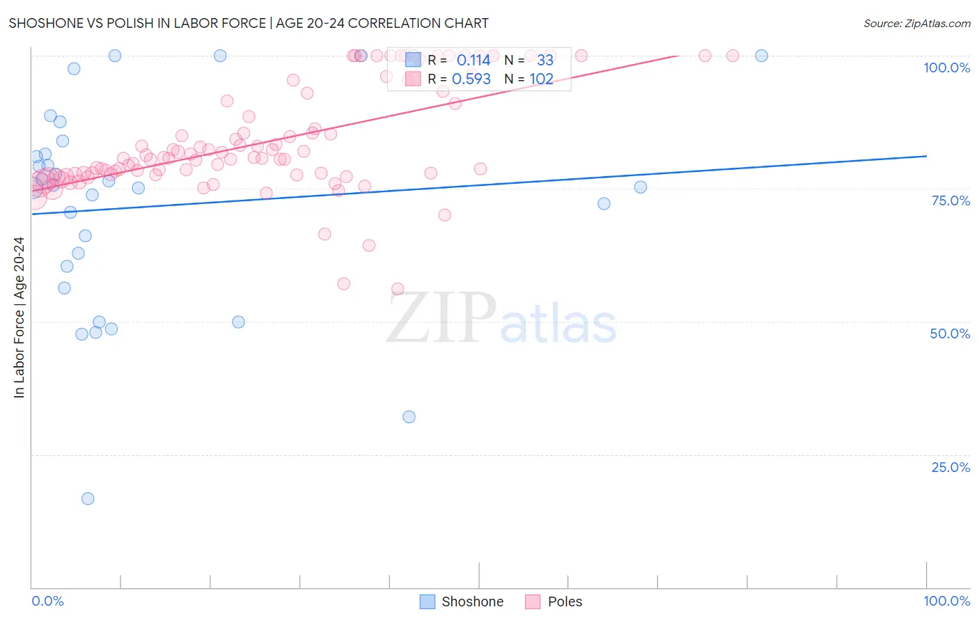 Shoshone vs Polish In Labor Force | Age 20-24