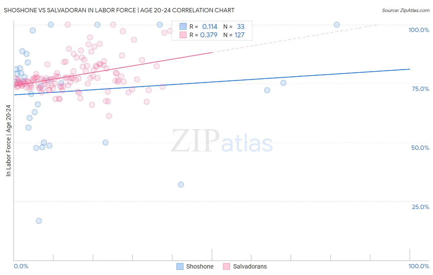 Shoshone vs Salvadoran In Labor Force | Age 20-24