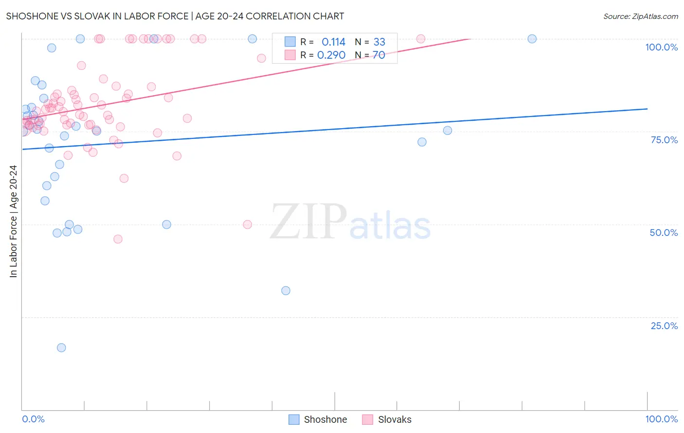 Shoshone vs Slovak In Labor Force | Age 20-24