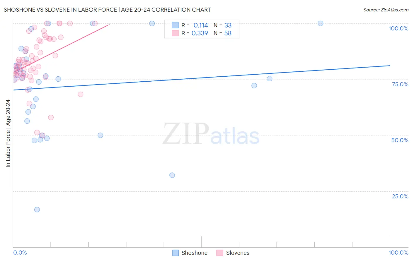 Shoshone vs Slovene In Labor Force | Age 20-24