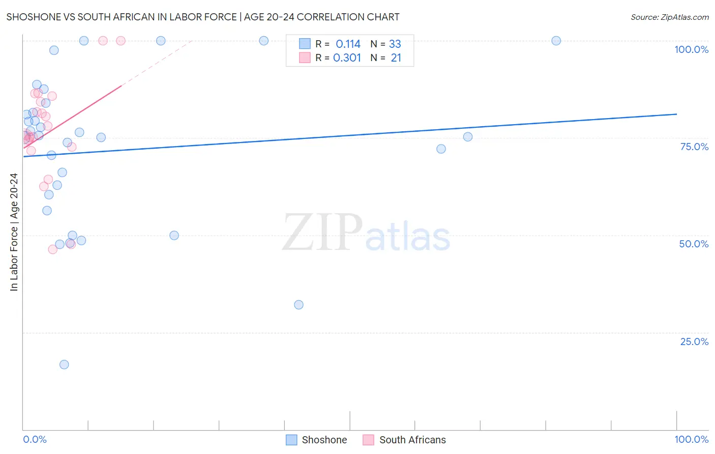 Shoshone vs South African In Labor Force | Age 20-24