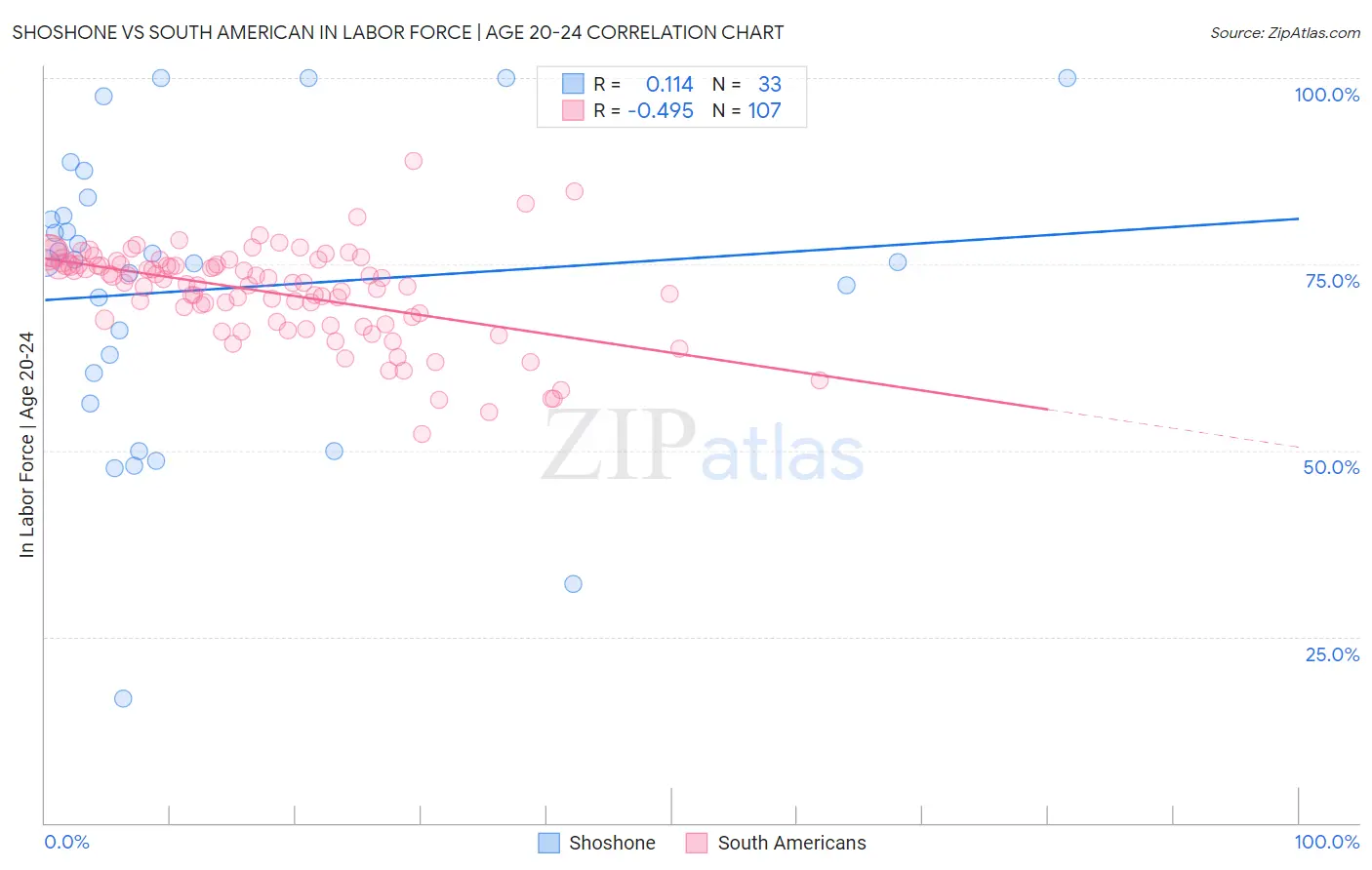 Shoshone vs South American In Labor Force | Age 20-24