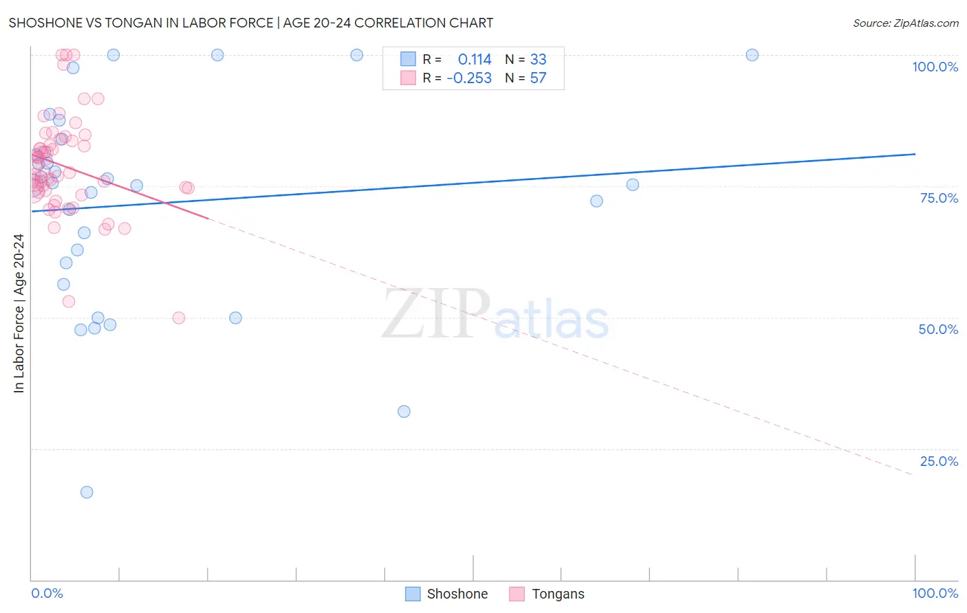 Shoshone vs Tongan In Labor Force | Age 20-24