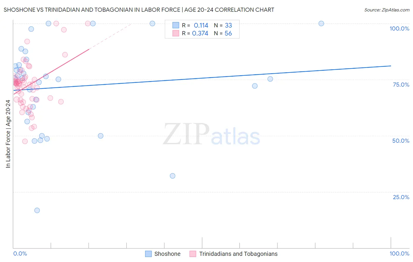 Shoshone vs Trinidadian and Tobagonian In Labor Force | Age 20-24