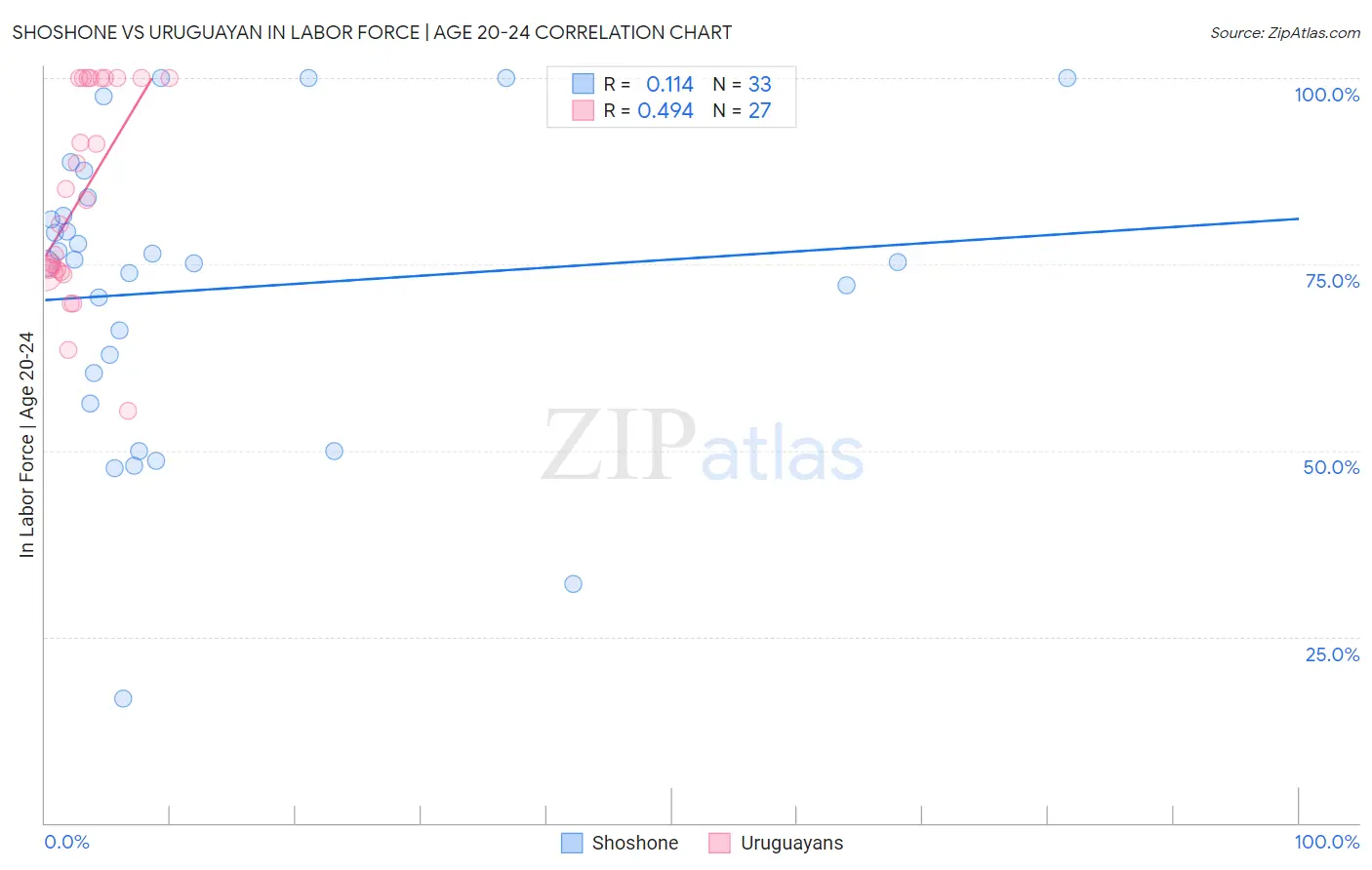 Shoshone vs Uruguayan In Labor Force | Age 20-24