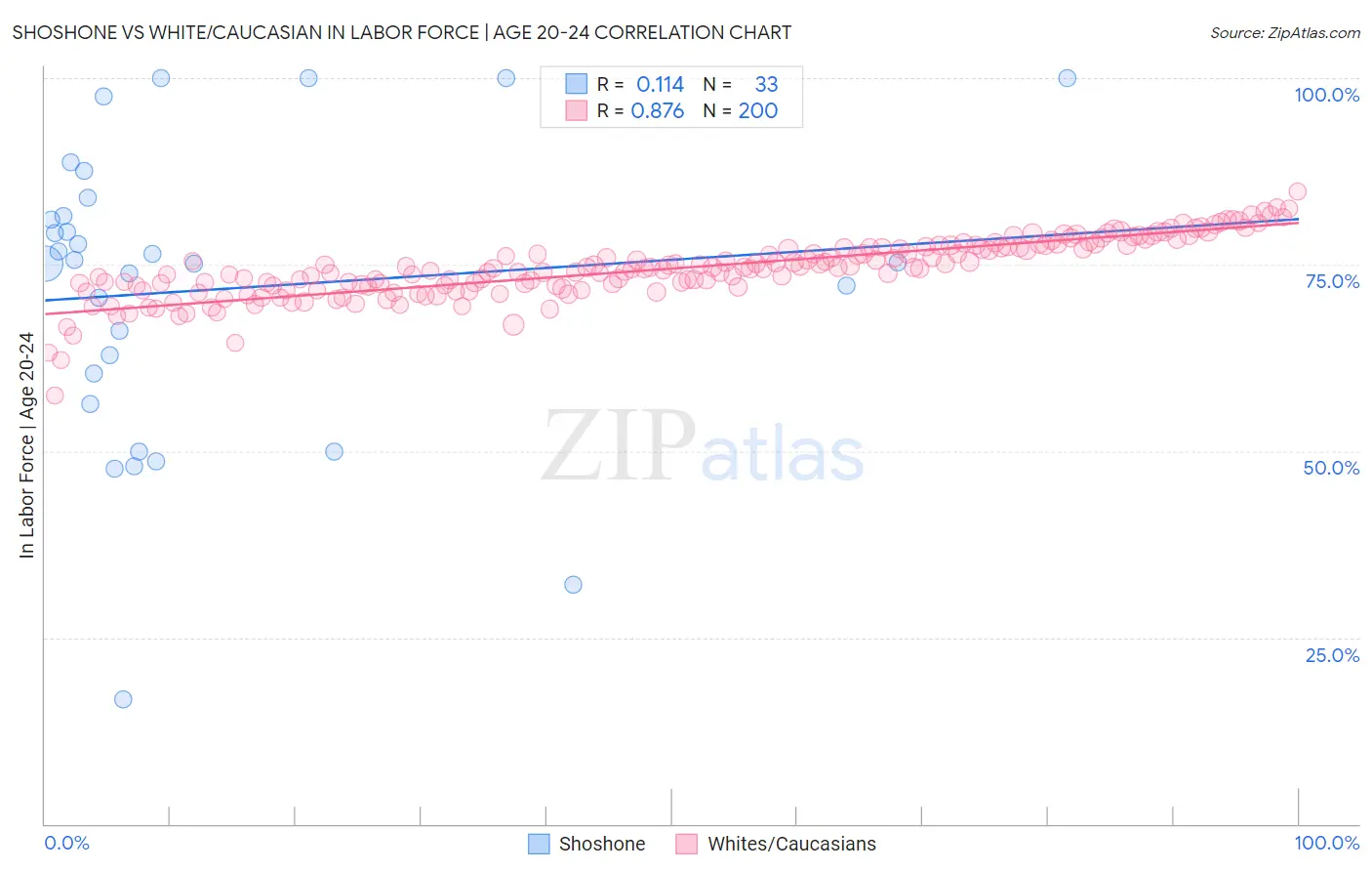 Shoshone vs White/Caucasian In Labor Force | Age 20-24