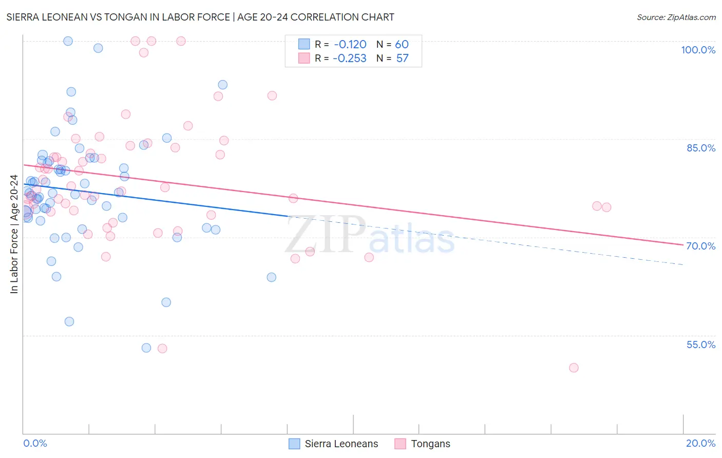 Sierra Leonean vs Tongan In Labor Force | Age 20-24