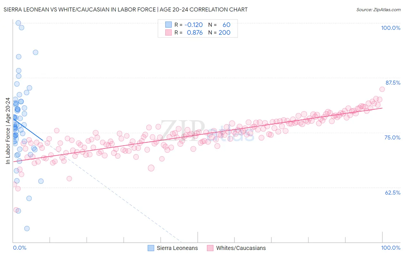 Sierra Leonean vs White/Caucasian In Labor Force | Age 20-24
