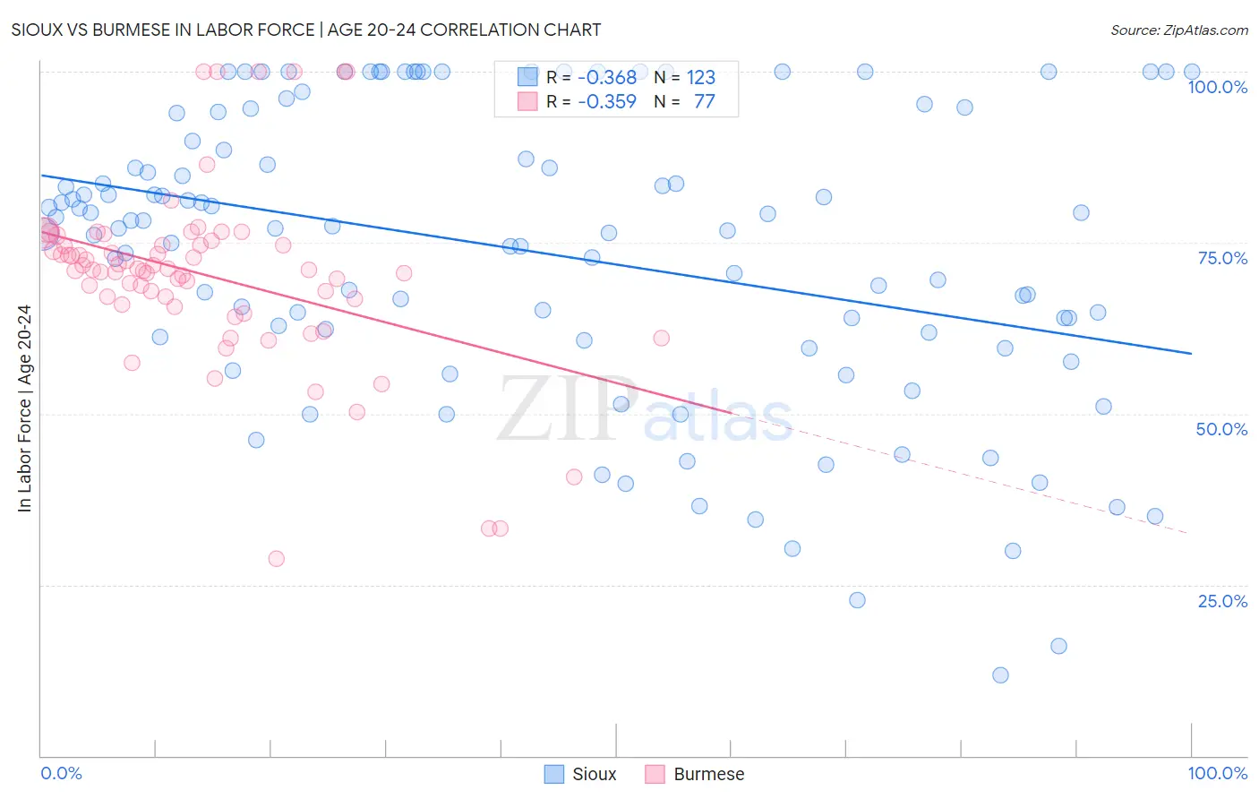 Sioux vs Burmese In Labor Force | Age 20-24