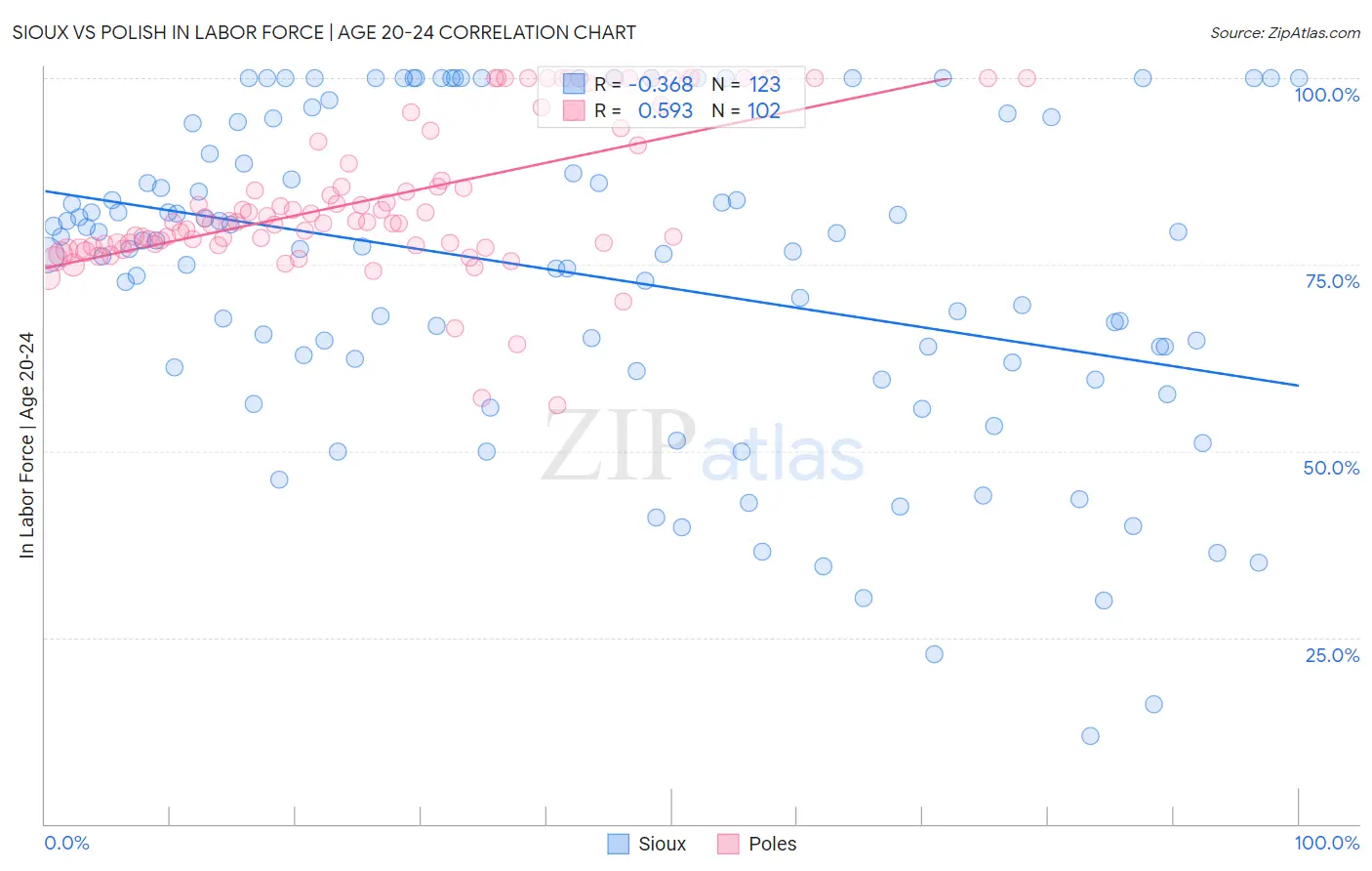 Sioux vs Polish In Labor Force | Age 20-24