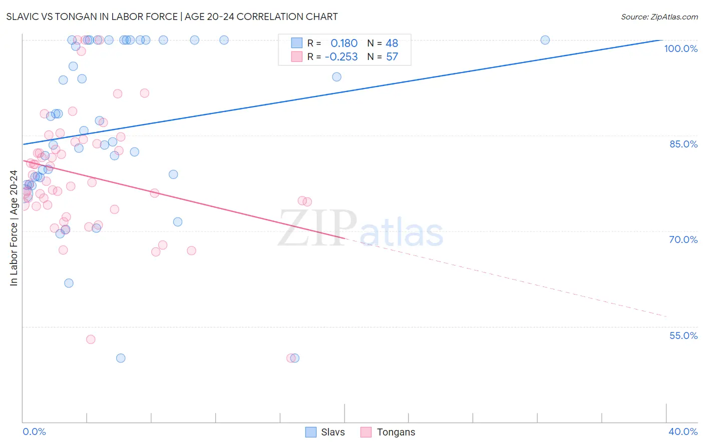 Slavic vs Tongan In Labor Force | Age 20-24