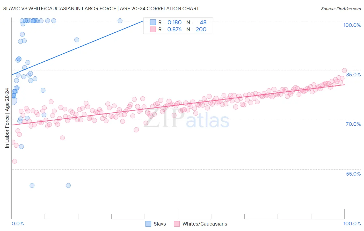 Slavic vs White/Caucasian In Labor Force | Age 20-24