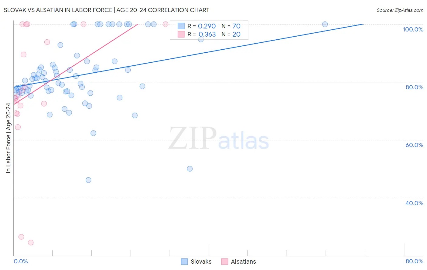 Slovak vs Alsatian In Labor Force | Age 20-24
