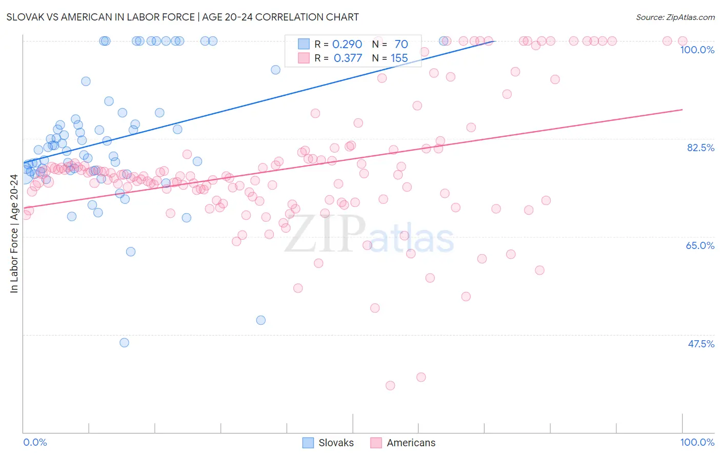 Slovak vs American In Labor Force | Age 20-24