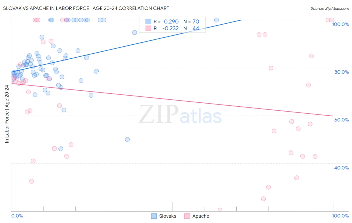 Slovak vs Apache In Labor Force | Age 20-24