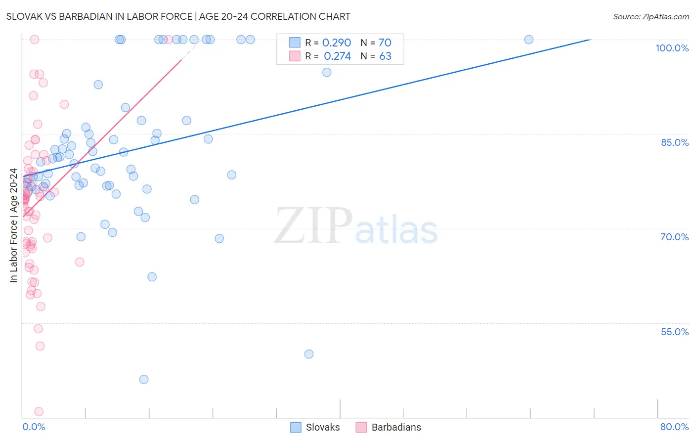 Slovak vs Barbadian In Labor Force | Age 20-24