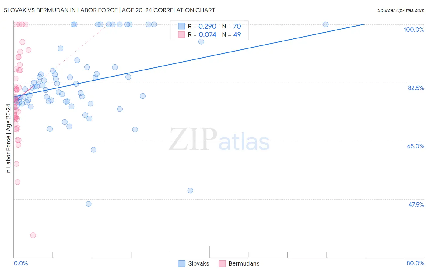 Slovak vs Bermudan In Labor Force | Age 20-24