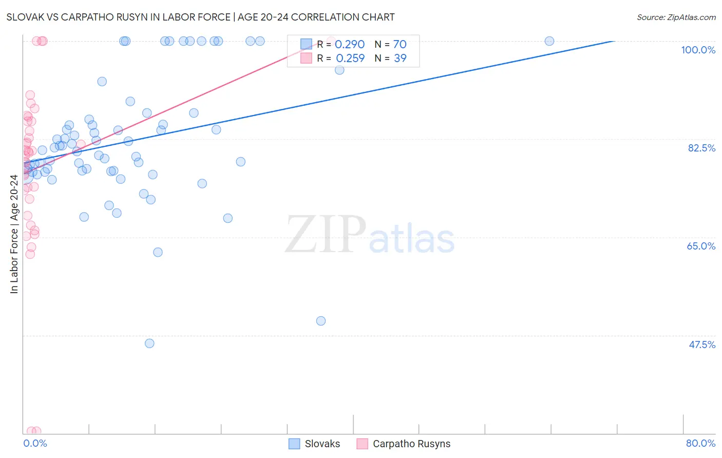 Slovak vs Carpatho Rusyn In Labor Force | Age 20-24