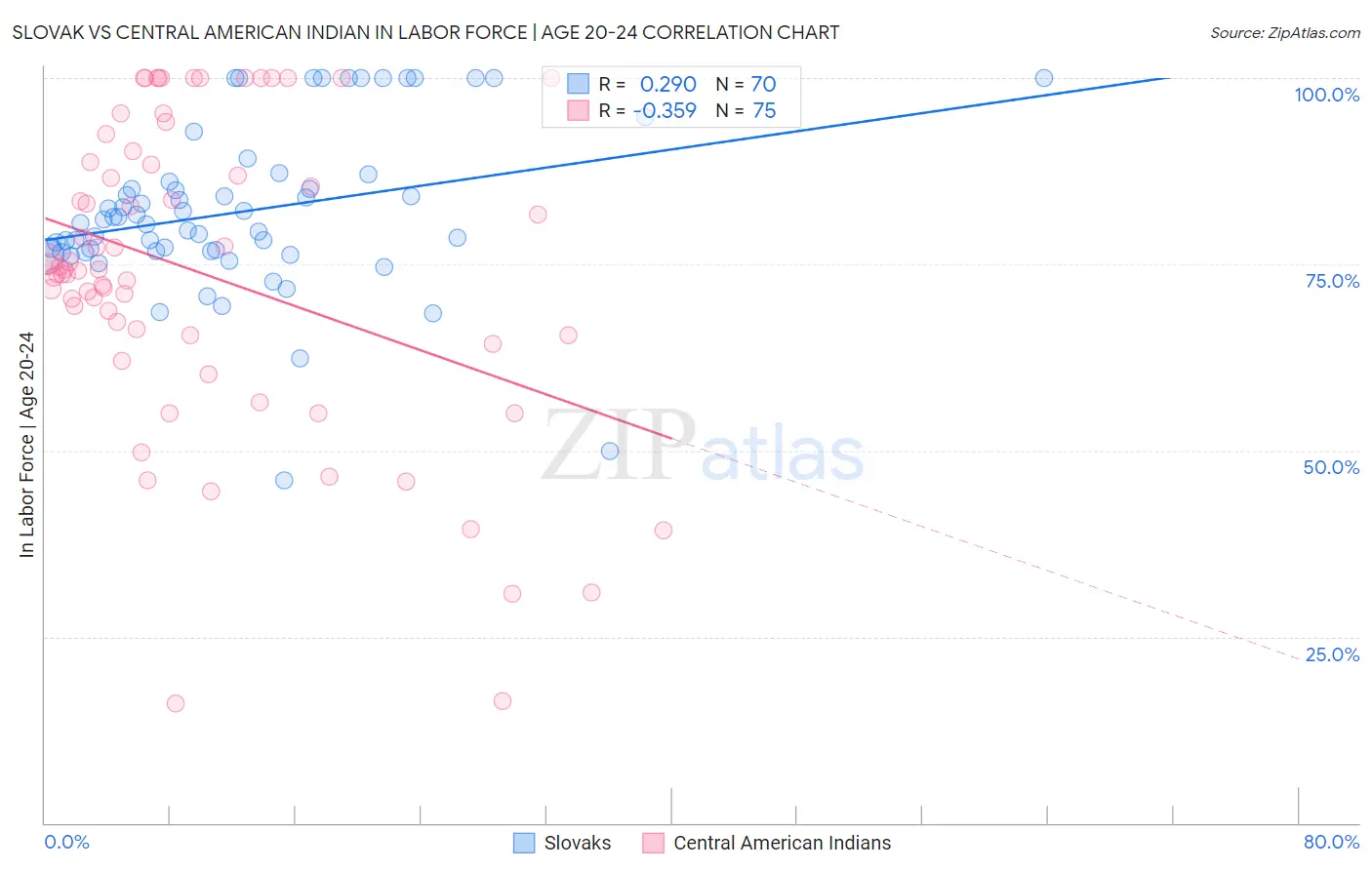 Slovak vs Central American Indian In Labor Force | Age 20-24