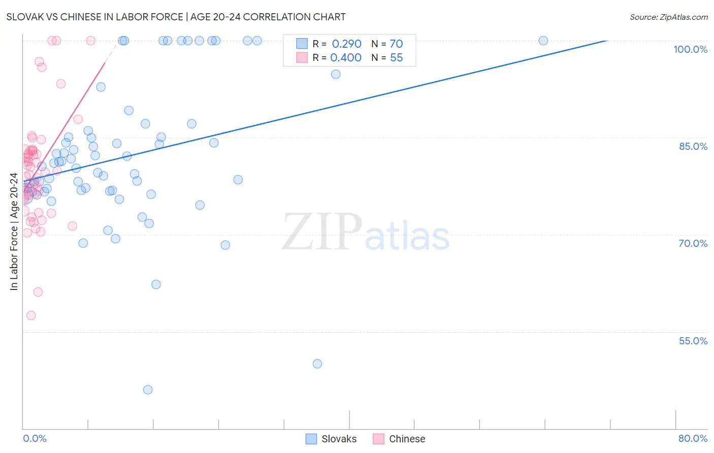 Slovak vs Chinese In Labor Force | Age 20-24