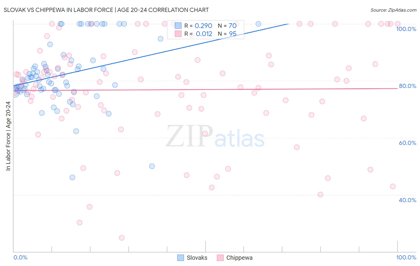 Slovak vs Chippewa In Labor Force | Age 20-24