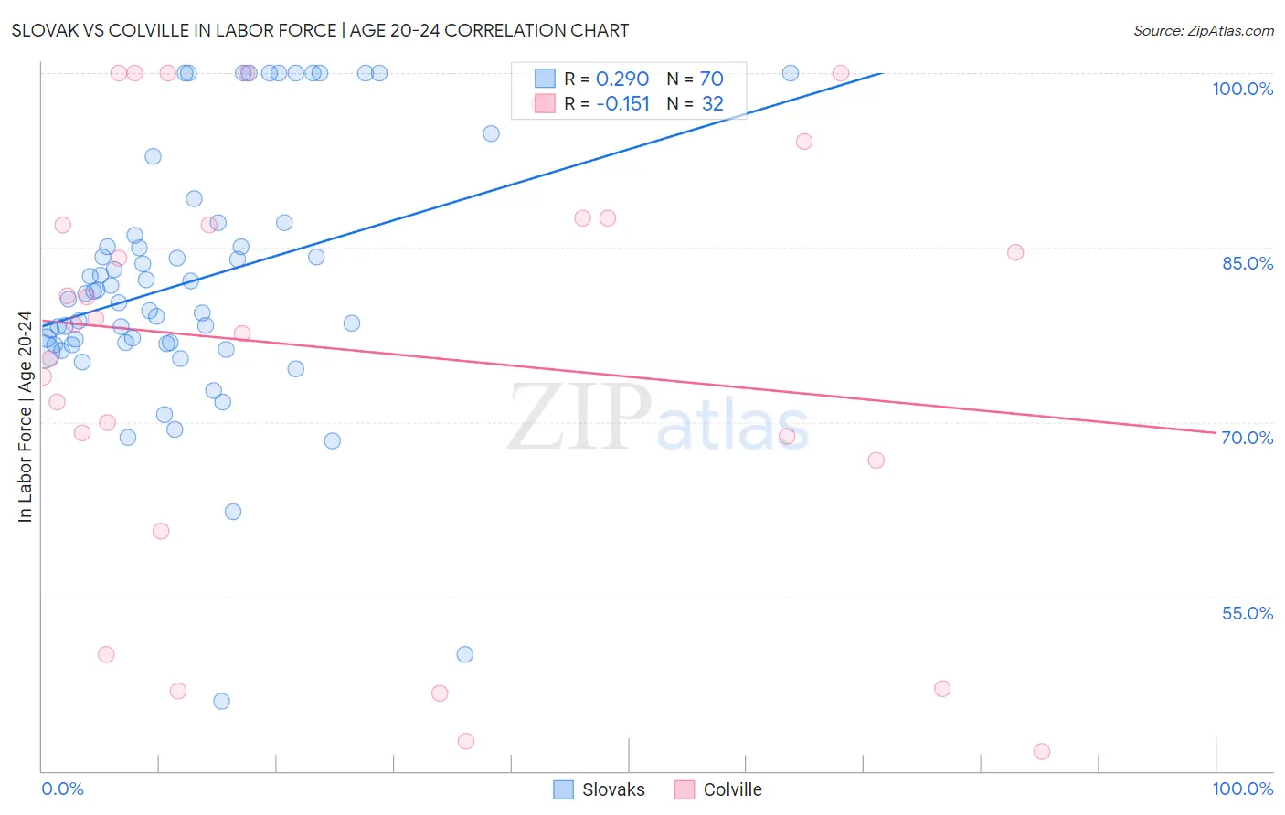 Slovak vs Colville In Labor Force | Age 20-24