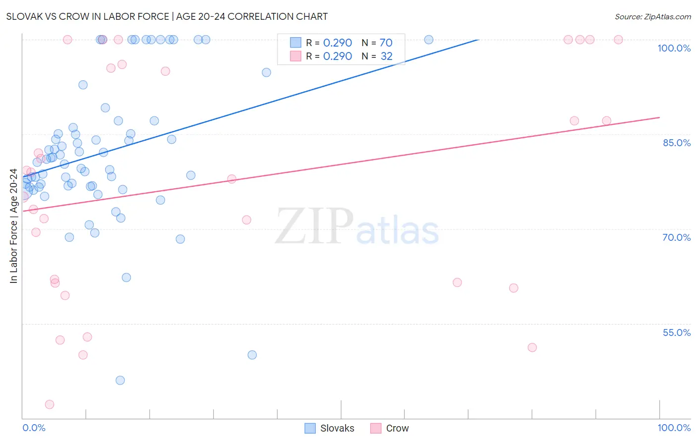 Slovak vs Crow In Labor Force | Age 20-24