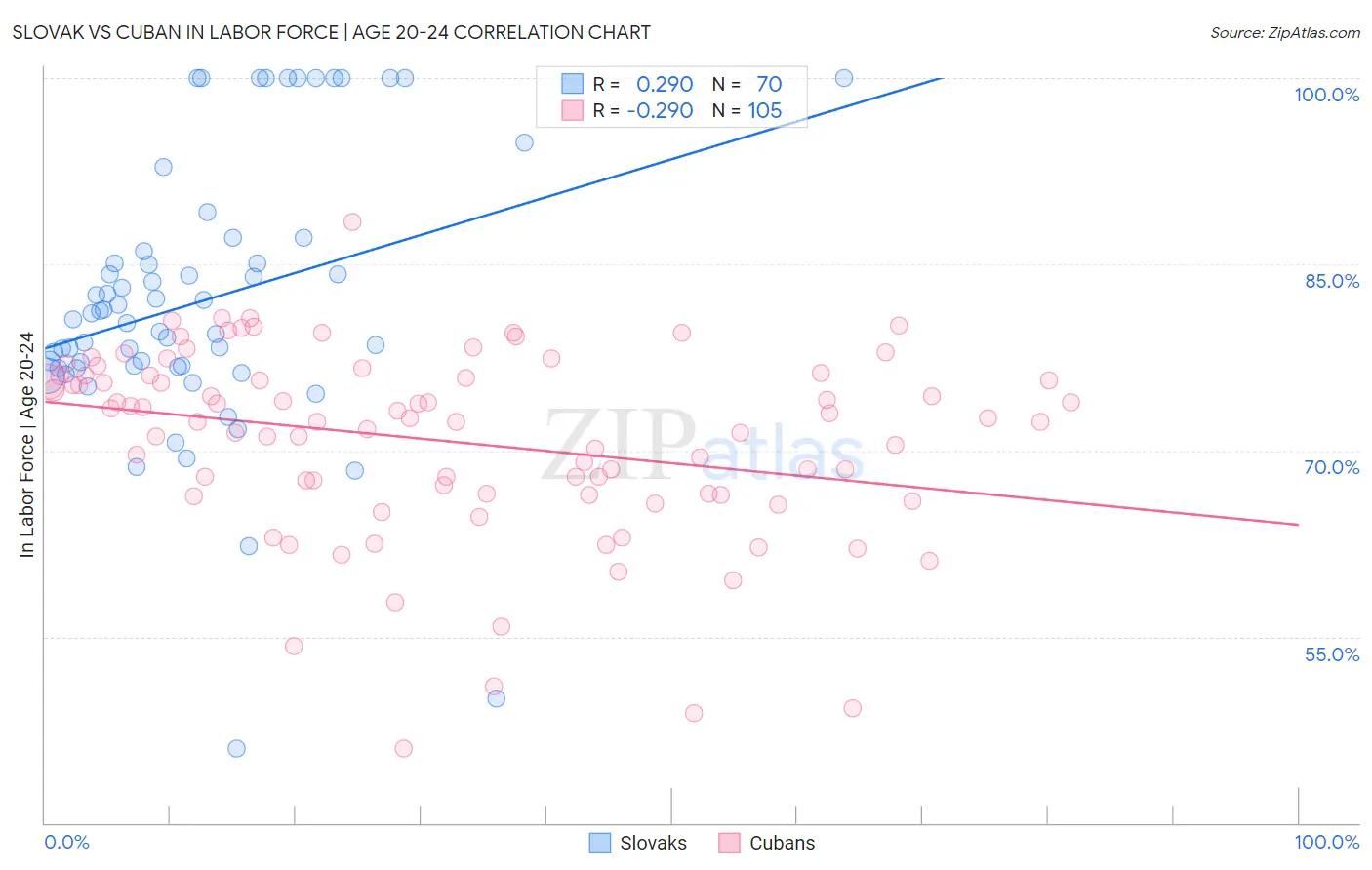 Slovak vs Cuban In Labor Force | Age 20-24