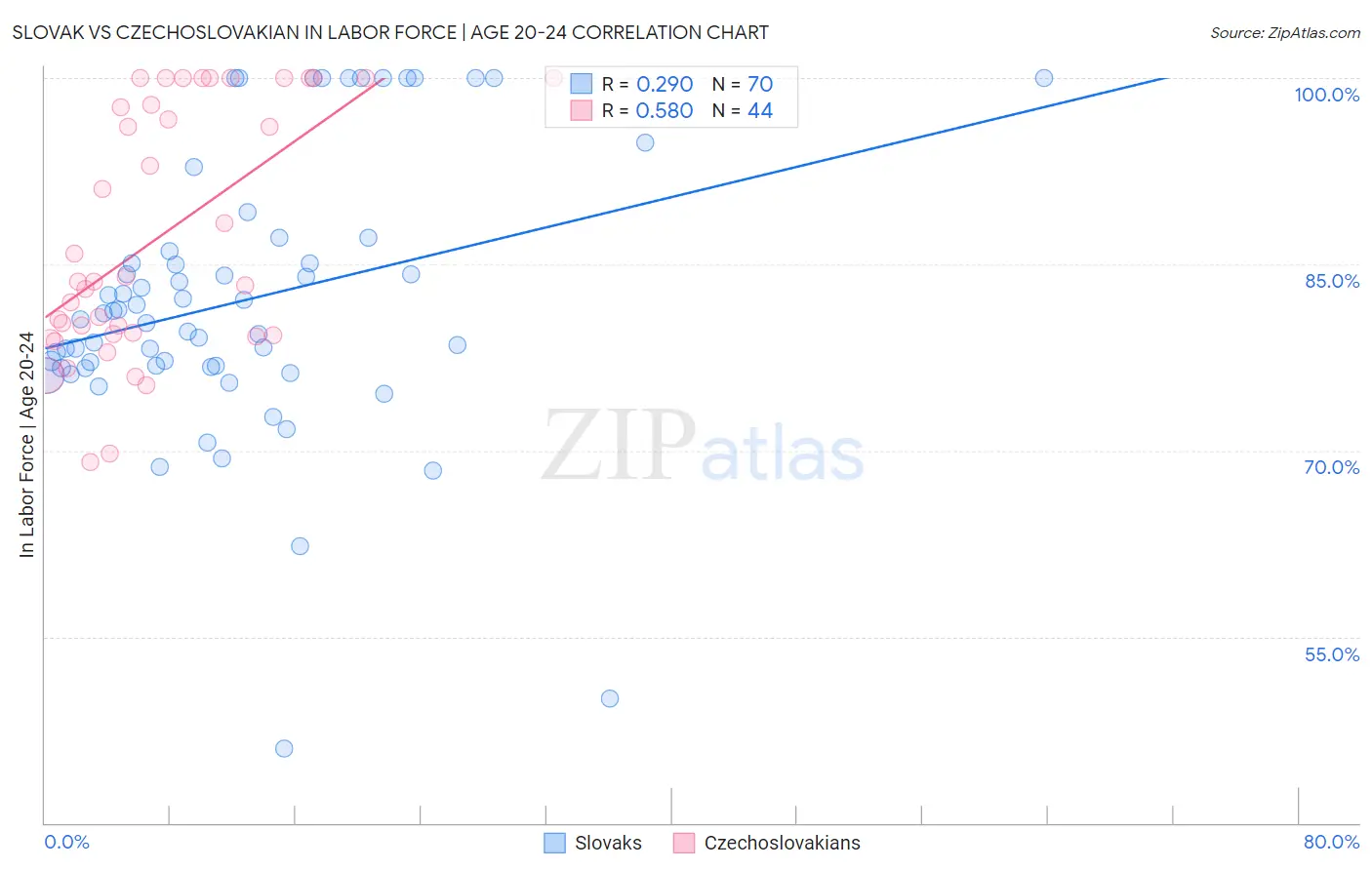 Slovak vs Czechoslovakian In Labor Force | Age 20-24
