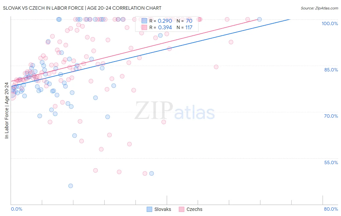 Slovak vs Czech In Labor Force | Age 20-24