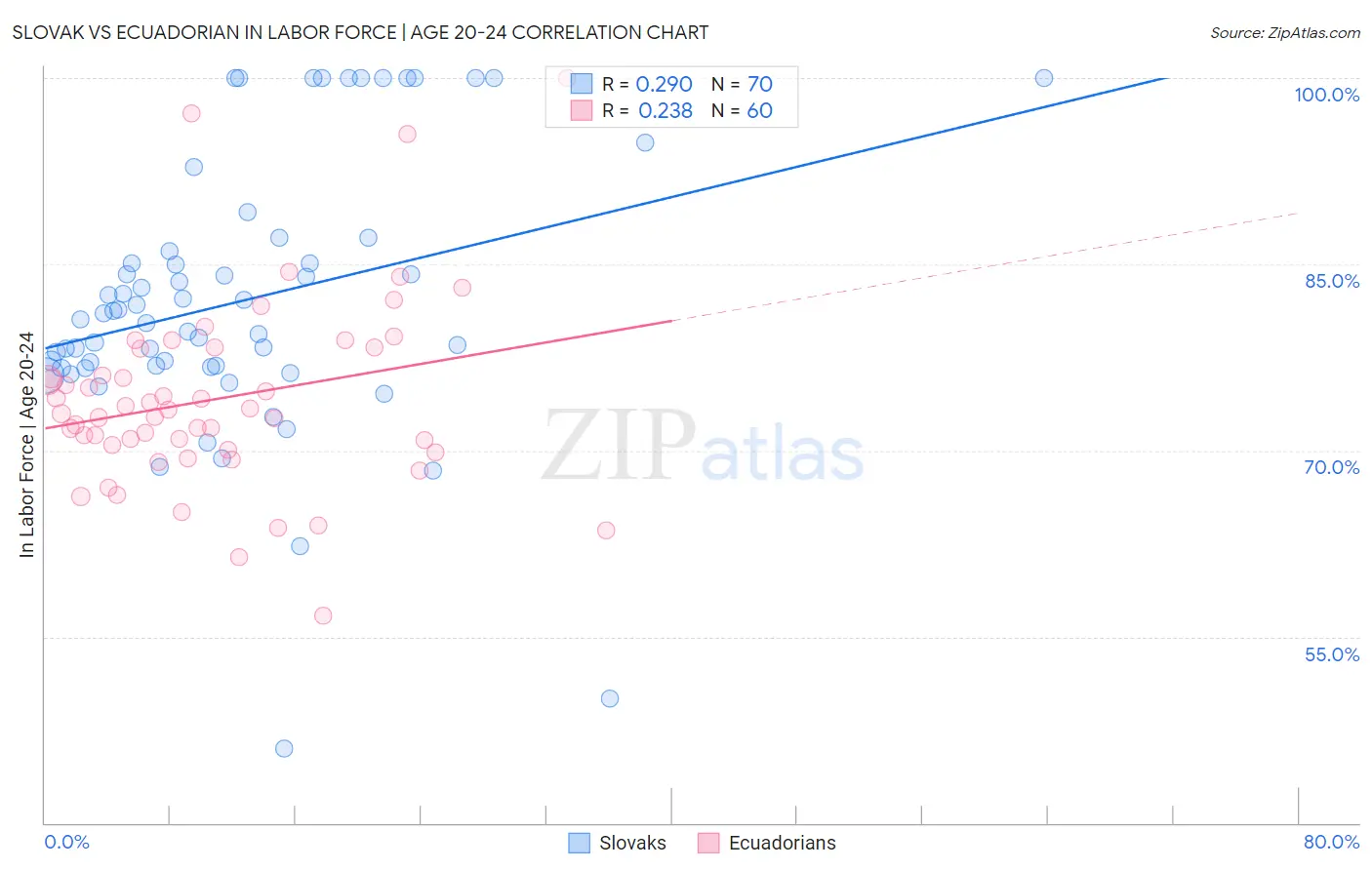 Slovak vs Ecuadorian In Labor Force | Age 20-24