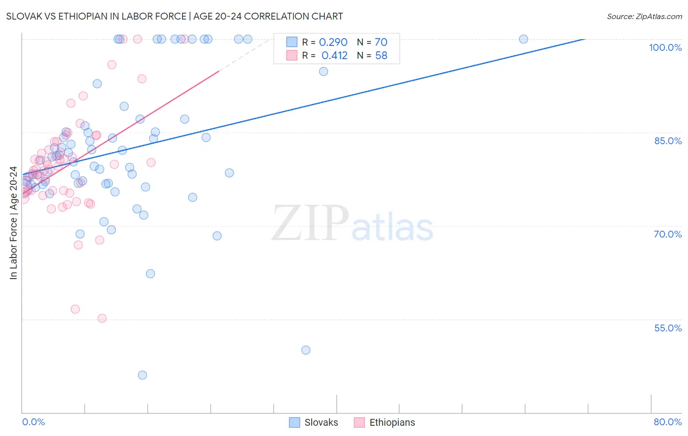 Slovak vs Ethiopian In Labor Force | Age 20-24