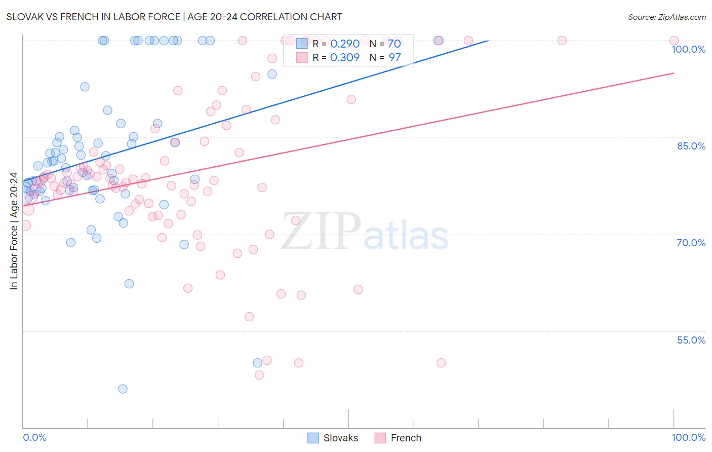 Slovak vs French In Labor Force | Age 20-24