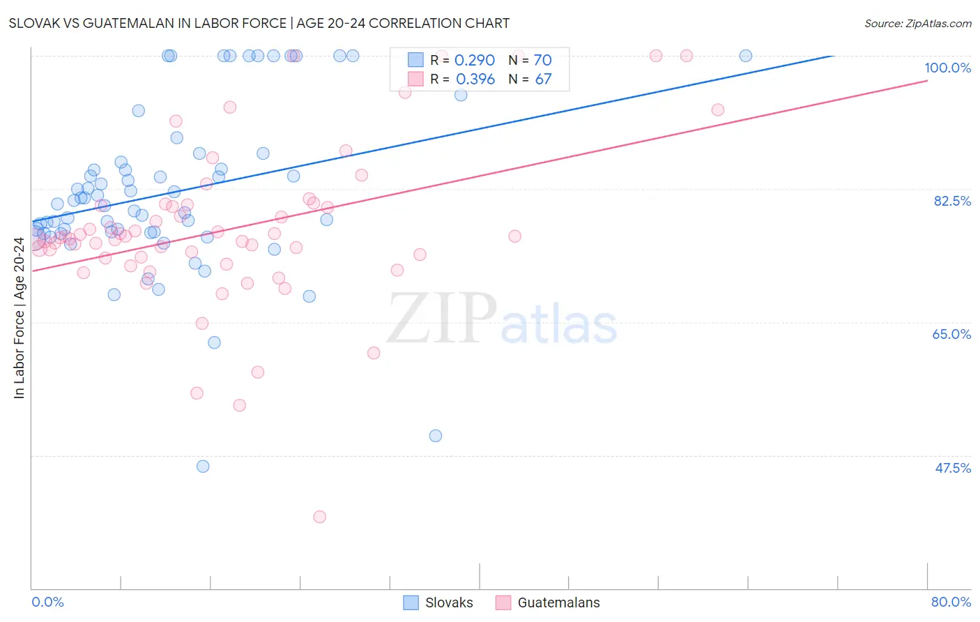 Slovak vs Guatemalan In Labor Force | Age 20-24