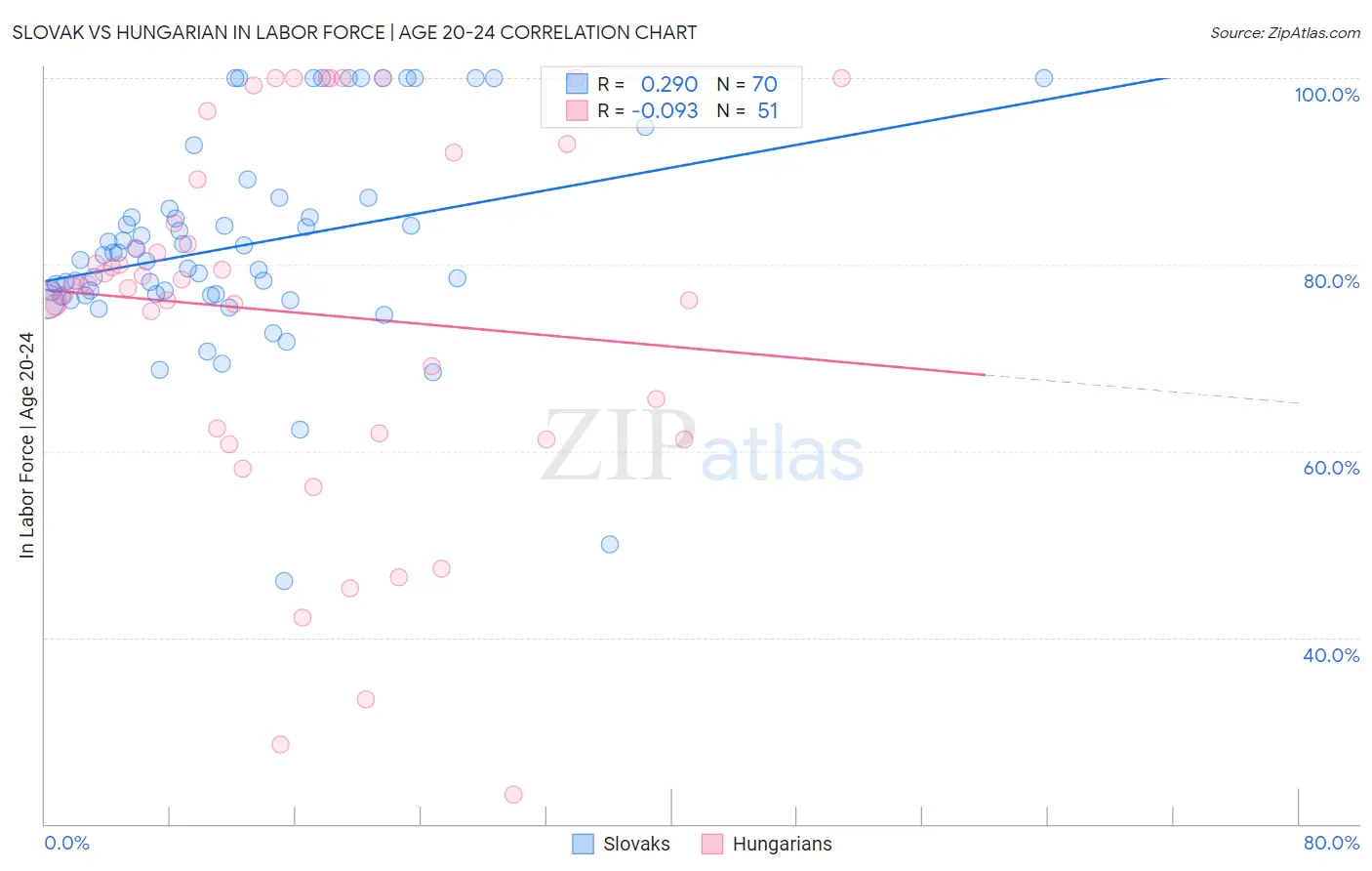 Slovak vs Hungarian In Labor Force | Age 20-24