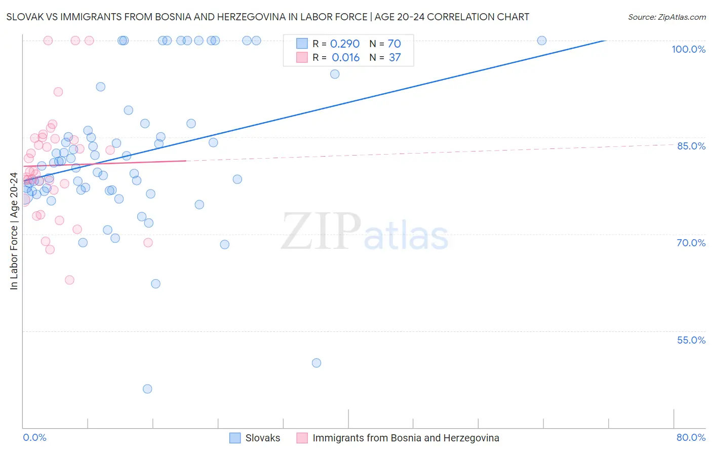 Slovak vs Immigrants from Bosnia and Herzegovina In Labor Force | Age 20-24