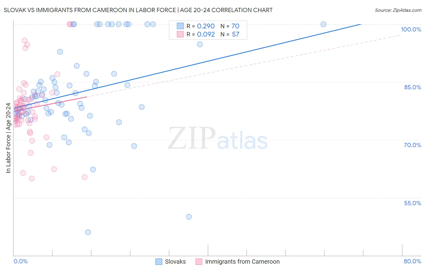 Slovak vs Immigrants from Cameroon In Labor Force | Age 20-24