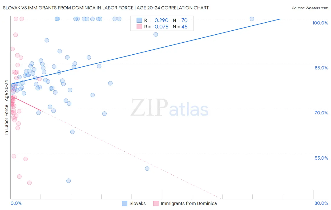 Slovak vs Immigrants from Dominica In Labor Force | Age 20-24