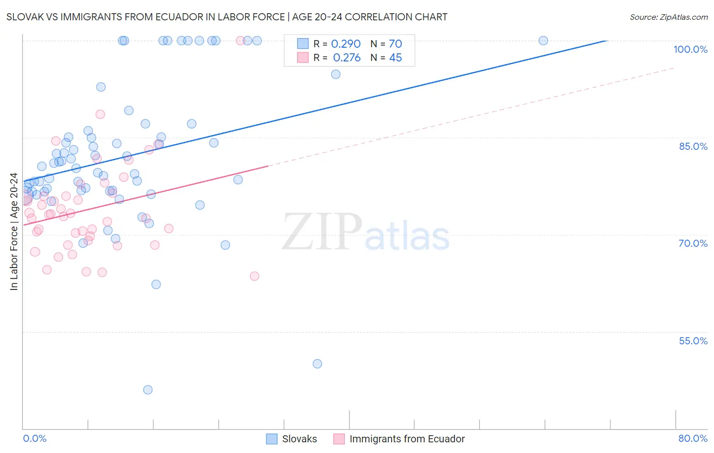 Slovak vs Immigrants from Ecuador In Labor Force | Age 20-24