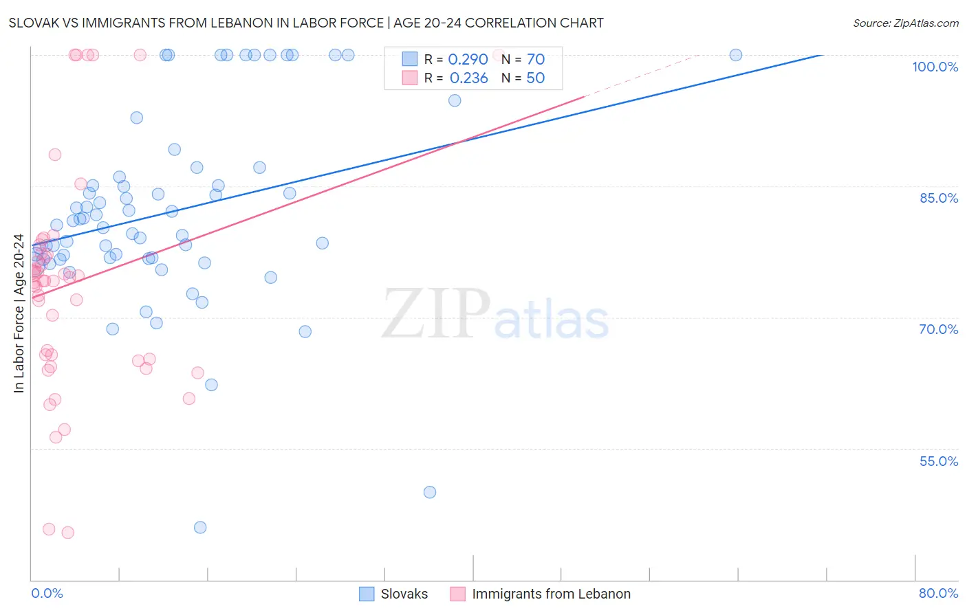 Slovak vs Immigrants from Lebanon In Labor Force | Age 20-24