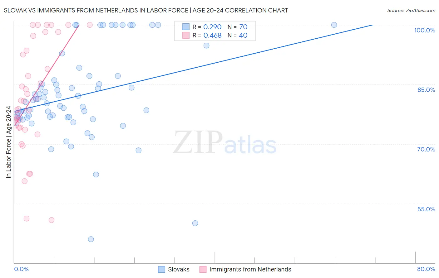 Slovak vs Immigrants from Netherlands In Labor Force | Age 20-24