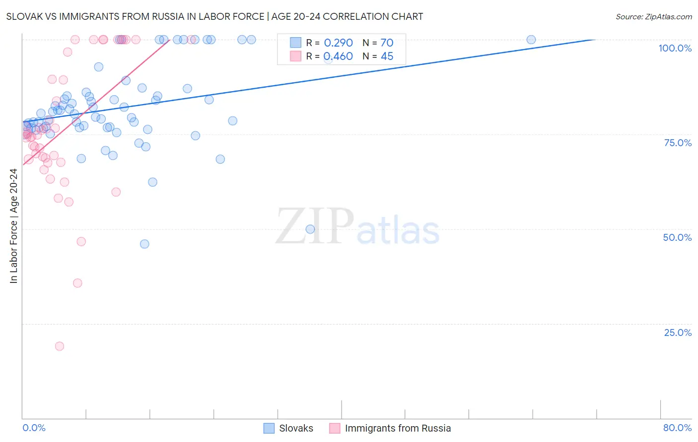 Slovak vs Immigrants from Russia In Labor Force | Age 20-24