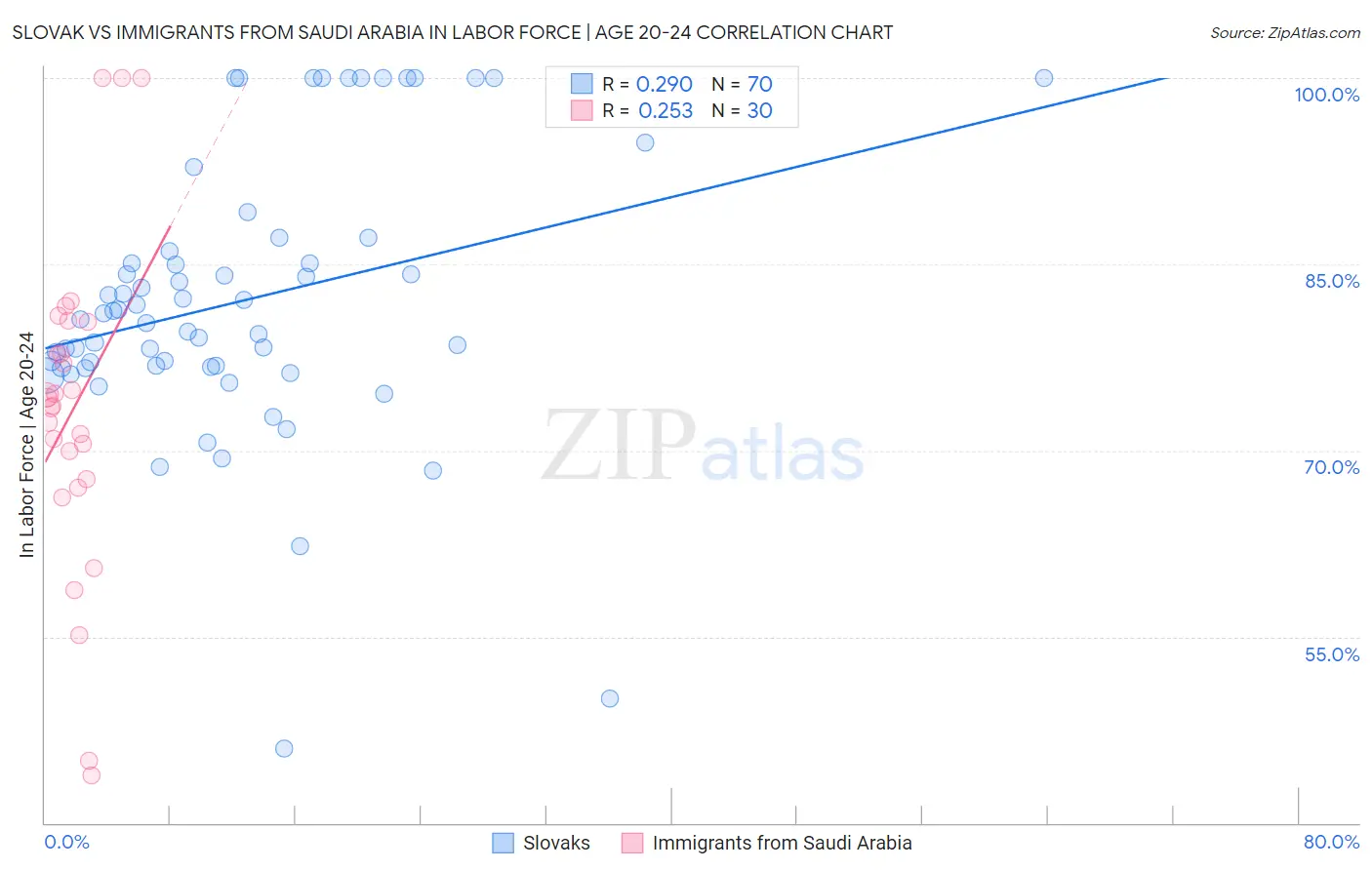 Slovak vs Immigrants from Saudi Arabia In Labor Force | Age 20-24