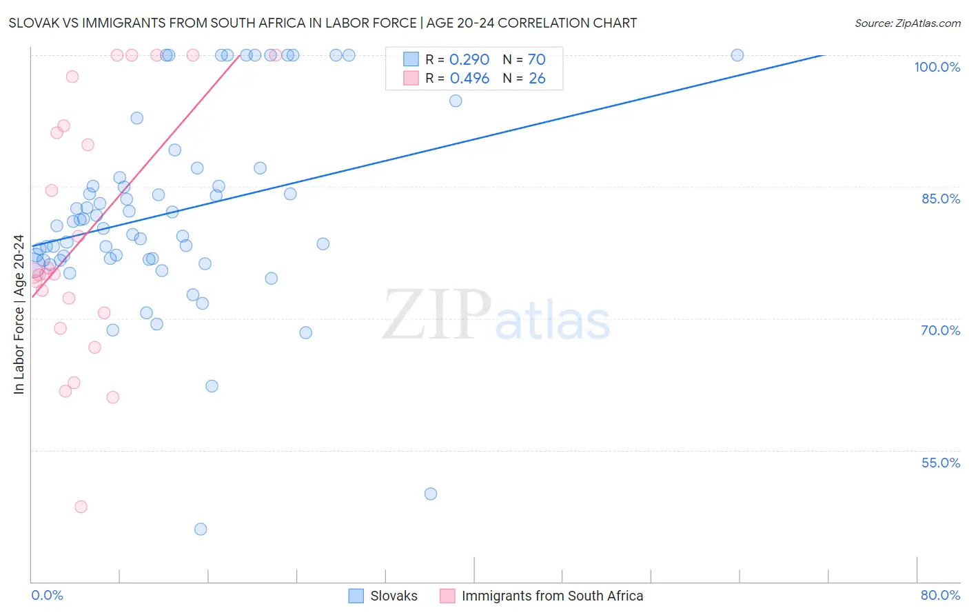 Slovak vs Immigrants from South Africa In Labor Force | Age 20-24
