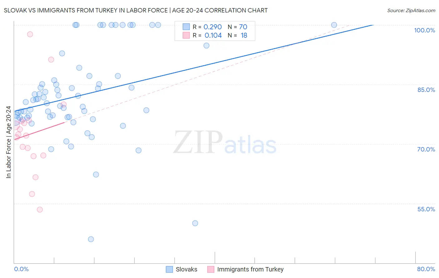 Slovak vs Immigrants from Turkey In Labor Force | Age 20-24